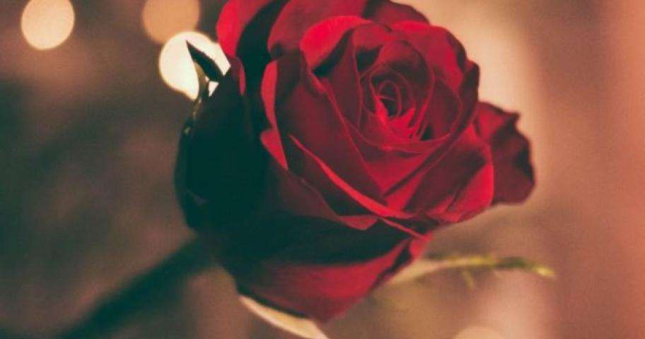 Offre Romance : pour une Saint Valentin de rêve