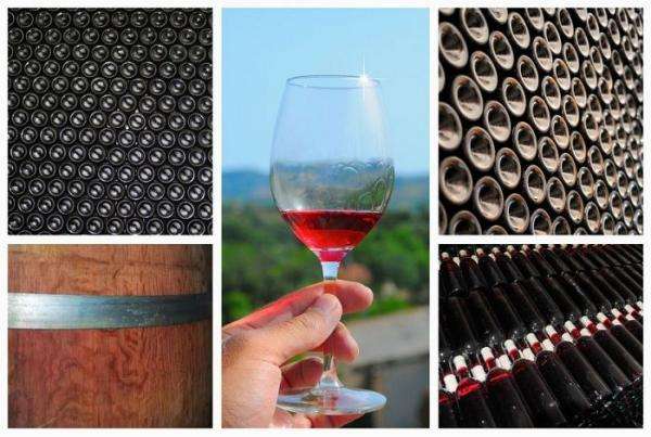 A wine buff’s heaven; Le Grand Tasting 2014